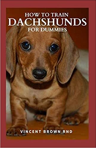 How To Train Dachshunds For Dummies. The Complete Guide To Buying, Grooming, Socializing And Taking Care Of Them
